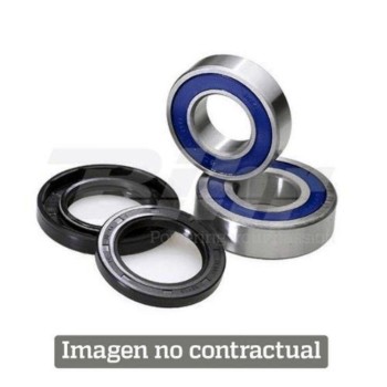 KIT RODAMIENTOS DE COLUMNA ALL BALLS 22-1011