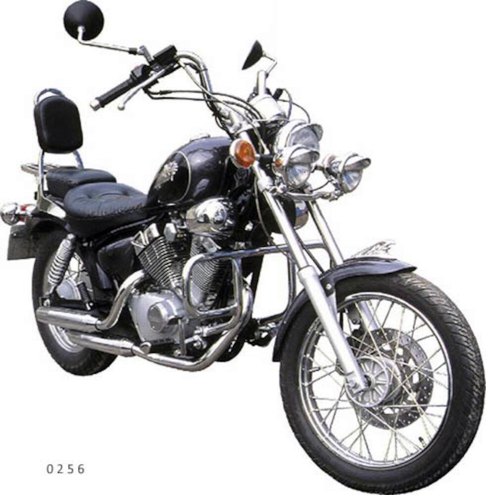 DEFENSA MOTOR VIRAGO 250