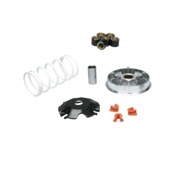 Variador Malossi Multivar 5117717 para Honda Lead 110