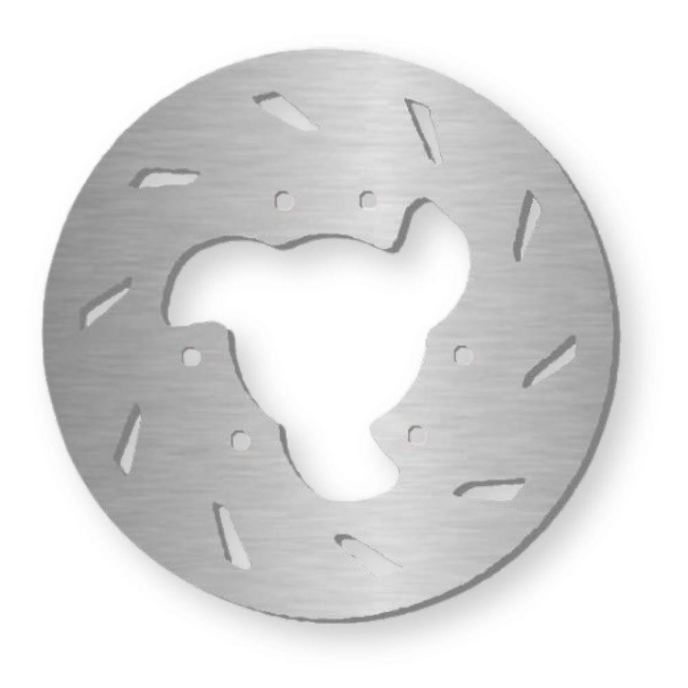 Disco Freno Trasero NG Brakes 073 260X125X4