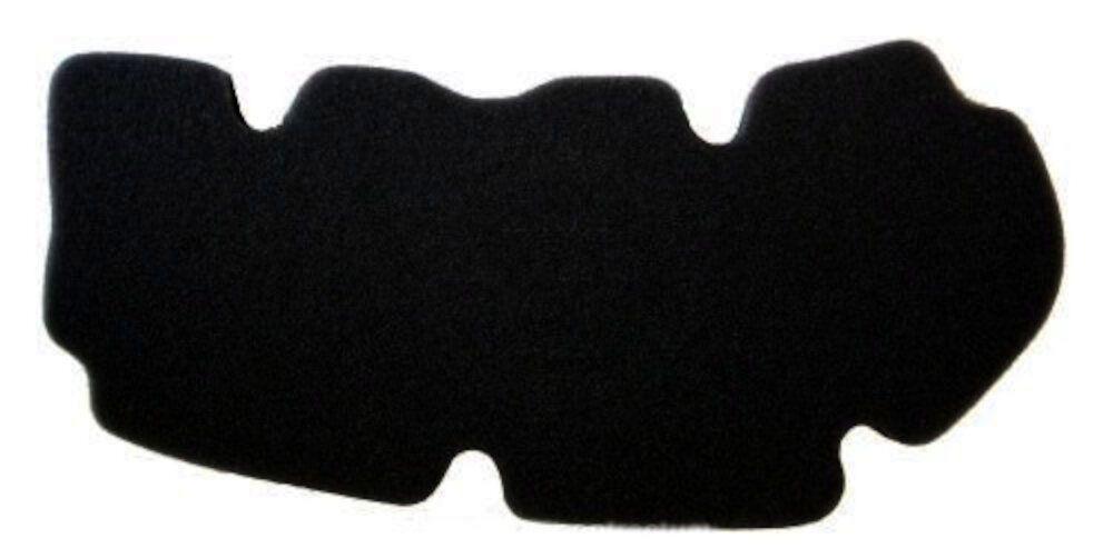 FILTRO AIRE PEUGEOT GEOPOLIS 125