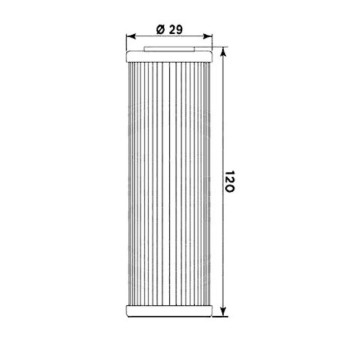 Filtro aceite Hiflofiltro HF631 Betamotor RR Enduro 350  4T 11-12