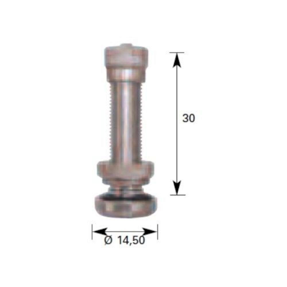 VALVULA RECTA PARA TUBELESS