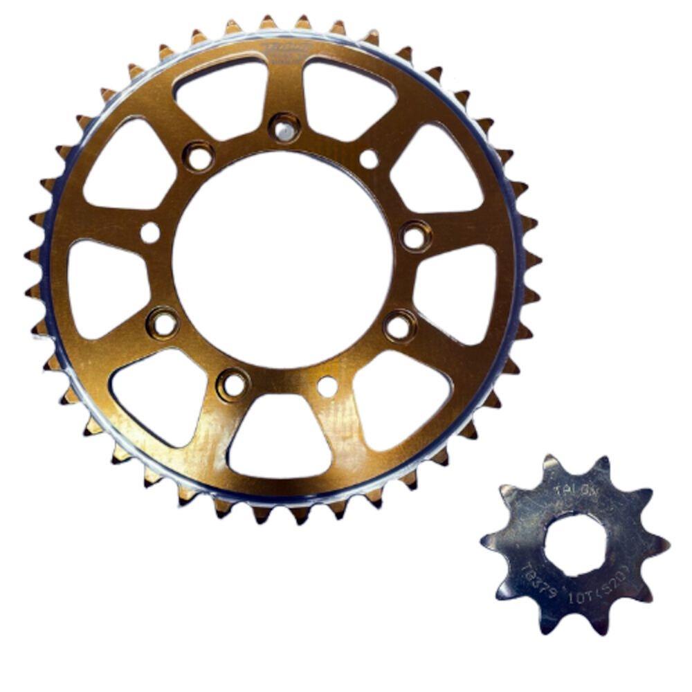 MONTESA COTA 314.315  ERG/RADIALITE 520  100