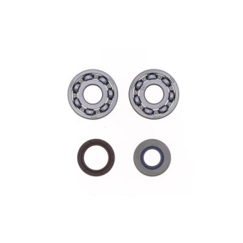 Kit retenes y cojinetes Minarelli AM6